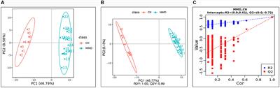 Liquid chromatography coupled to mass spectrometry metabolomic analysis of cerebrospinal fluid revealed the metabolic characteristics of moyamoya disease